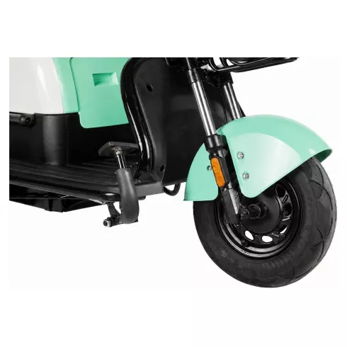 Трицикл Rutrike Вега зеленый