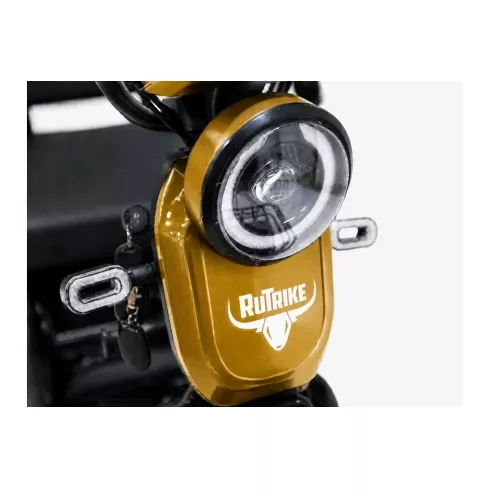 Трицикл Rutrike Бумеранг золотистый