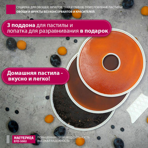 Сушилка для овощей и фруктов Мастерица EFD-5002 (белый)