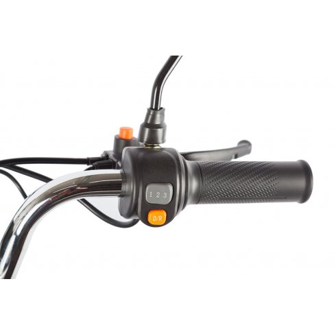 Трицикл Rutrike Gelbert Beta 48V/60V (Зелено-белый)