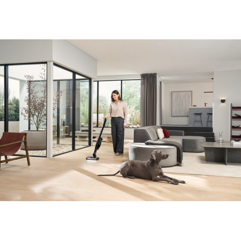 Пылесос вертикальный Miele Triflex HX3 Cat & Dog