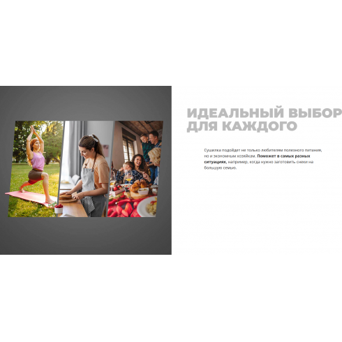 Сушилка для овощей и фруктов Redmond FD1101 (черный)