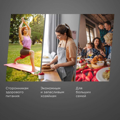 Сушилка для овощей и фруктов Redmond FD1106 (черный/сталь)
