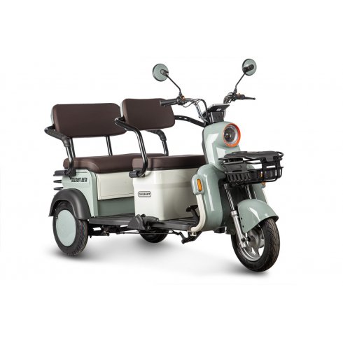Трицикл Rutrike Gelbert Beta 48V/60V (Зелено-белый)