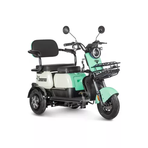 Трицикл Rutrike Вега зеленый