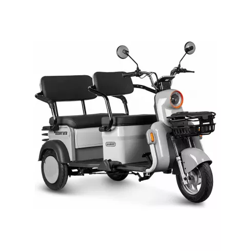 Трицикл Rutrike Gelbert Beta 48V/60V (Серебристо-белый)