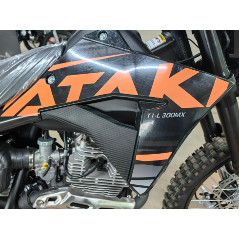 Мотоцикл Ataki T1-L 300 MX