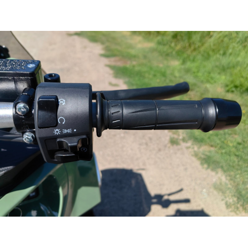 Максискутер SPRMOTORS TRAVEL MAX 180 EFI (зеленый)