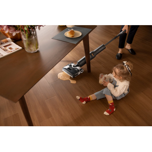 Пылесос вертикальный Roborock Wet and Dry Vacuum Cleaner F25 LT (черный)