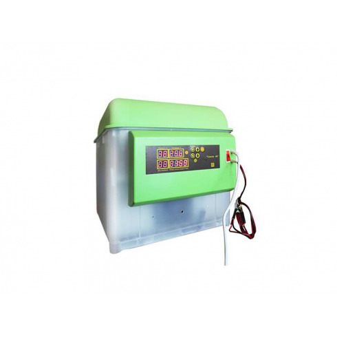 Инкубатор Спектр-84-01