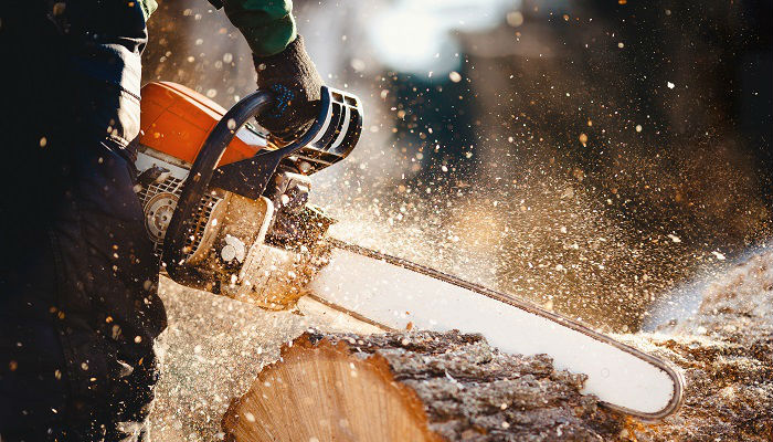 Фото бензопила Champion.