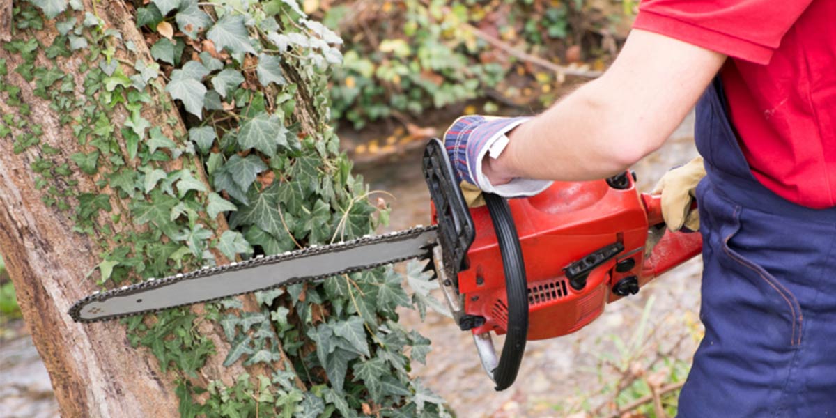 Бензопила Efco (Эфко). Фото.