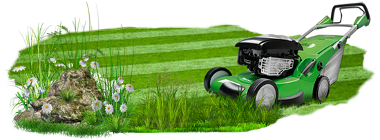 Уход за газоном.
