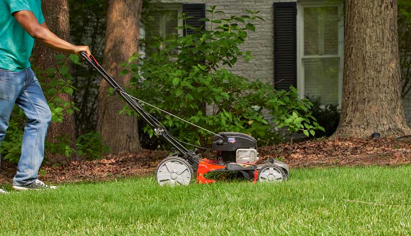 Двигатели Honda. Фото.