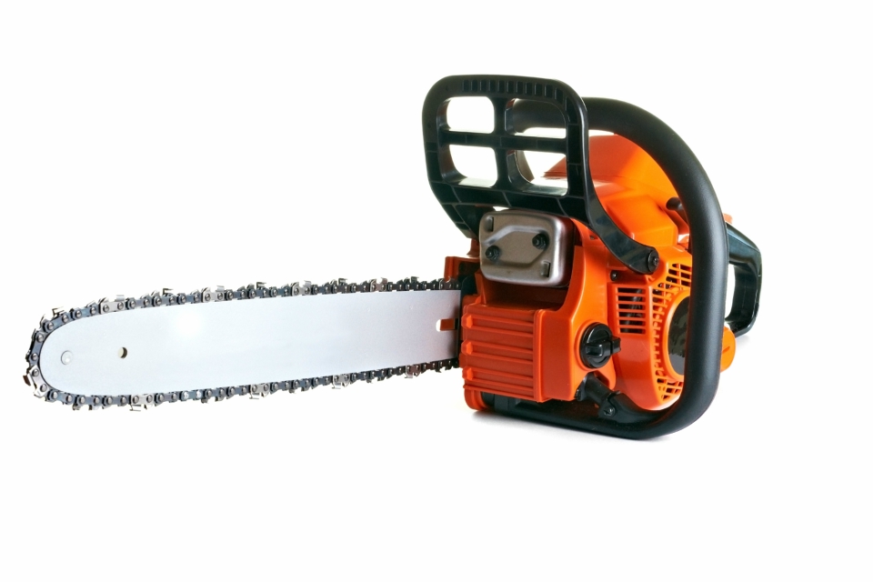 Электропила Champion. Фото.